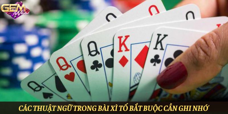 Các thuật ngữ trong bài xì tố bắt buộc cần ghi nhớ