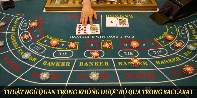 Thuật ngữ quan trọng không được bỏ qua trong Baccarat