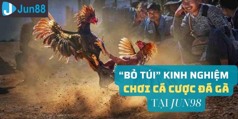 Người chơi cần lựa chọn link tham gia đá gà Jun98 uy tín để đảm bảo an toàn
