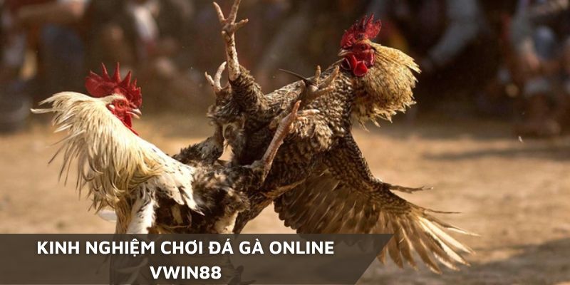 Nắm rõ những kinh nghiệm từ các người chơi trước