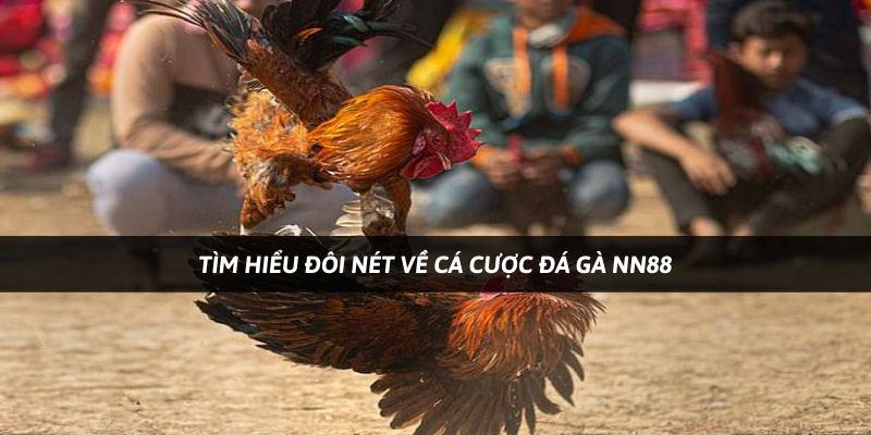 Nhà cái Nn88 cá cược đá gà nổi tiếng nhất